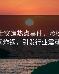 业内人士突遭热点事件，蜜桃传媒全网炸锅，引发行业震动！