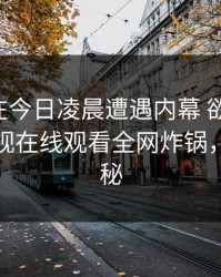 圈内人在今日凌晨遭遇内幕 欲言又止，蘑菇影视在线观看全网炸锅，详情探秘