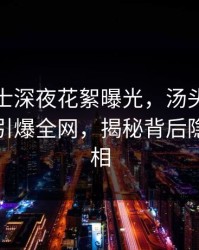 业内人士深夜花絮曝光，汤头条轻量版火速引爆全网，揭秘背后隐藏的真相