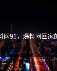 爆料网91，爆料网回家的路