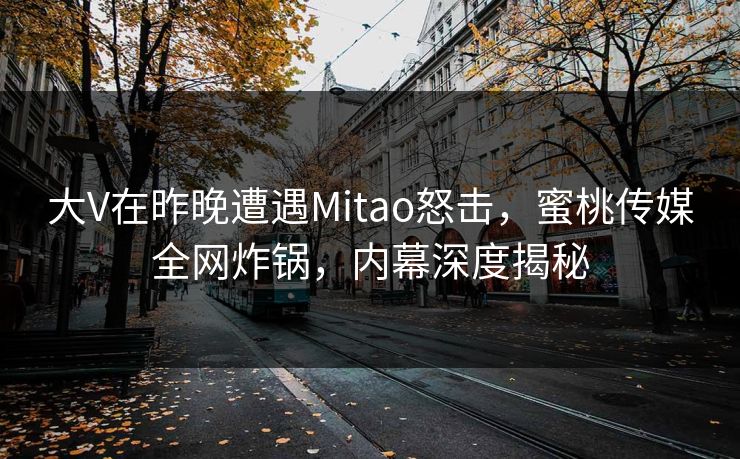 大V在昨晚遭遇Mitao怒击，蜜桃传媒全网炸锅，内幕深度揭秘