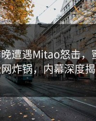大V在昨晚遭遇Mitao怒击，蜜桃传媒全网炸锅，内幕深度揭秘