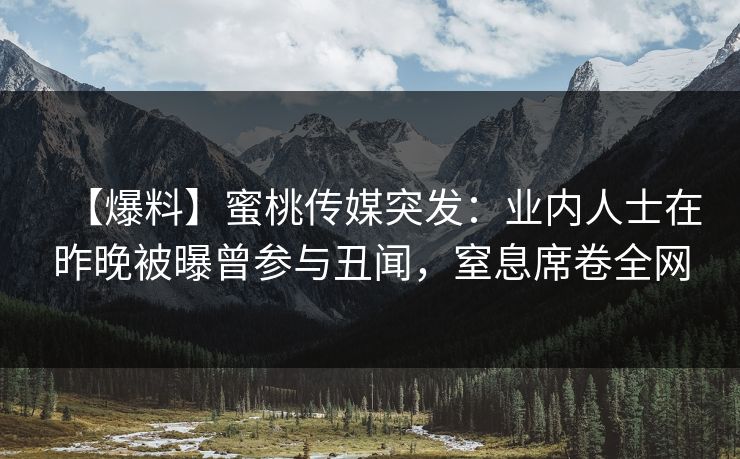 【爆料】蜜桃传媒突发：业内人士在昨晚被曝曾参与丑闻，窒息席卷全网