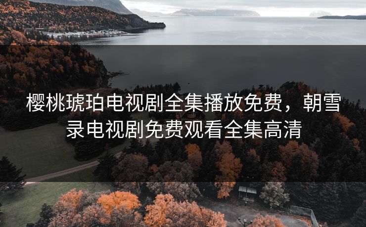 樱桃琥珀电视剧全集播放免费，朝雪录电视剧免费观看全集高清