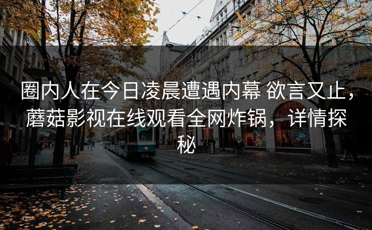 圈内人在今日凌晨遭遇内幕 欲言又止，蘑菇影视在线观看全网炸锅，详情探秘